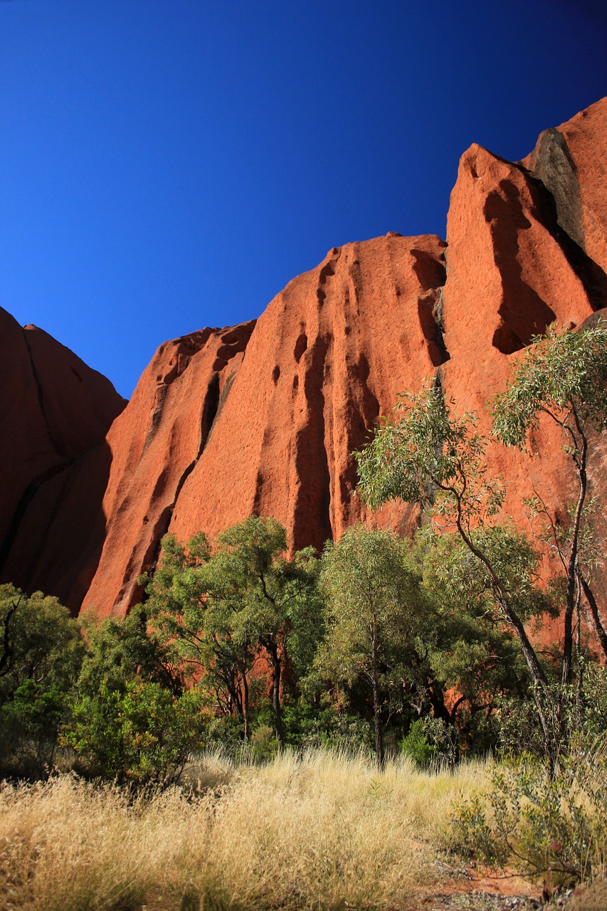 outback blue sky red dirt free photo