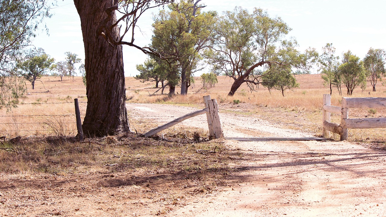 outback  gate  countryside free photo