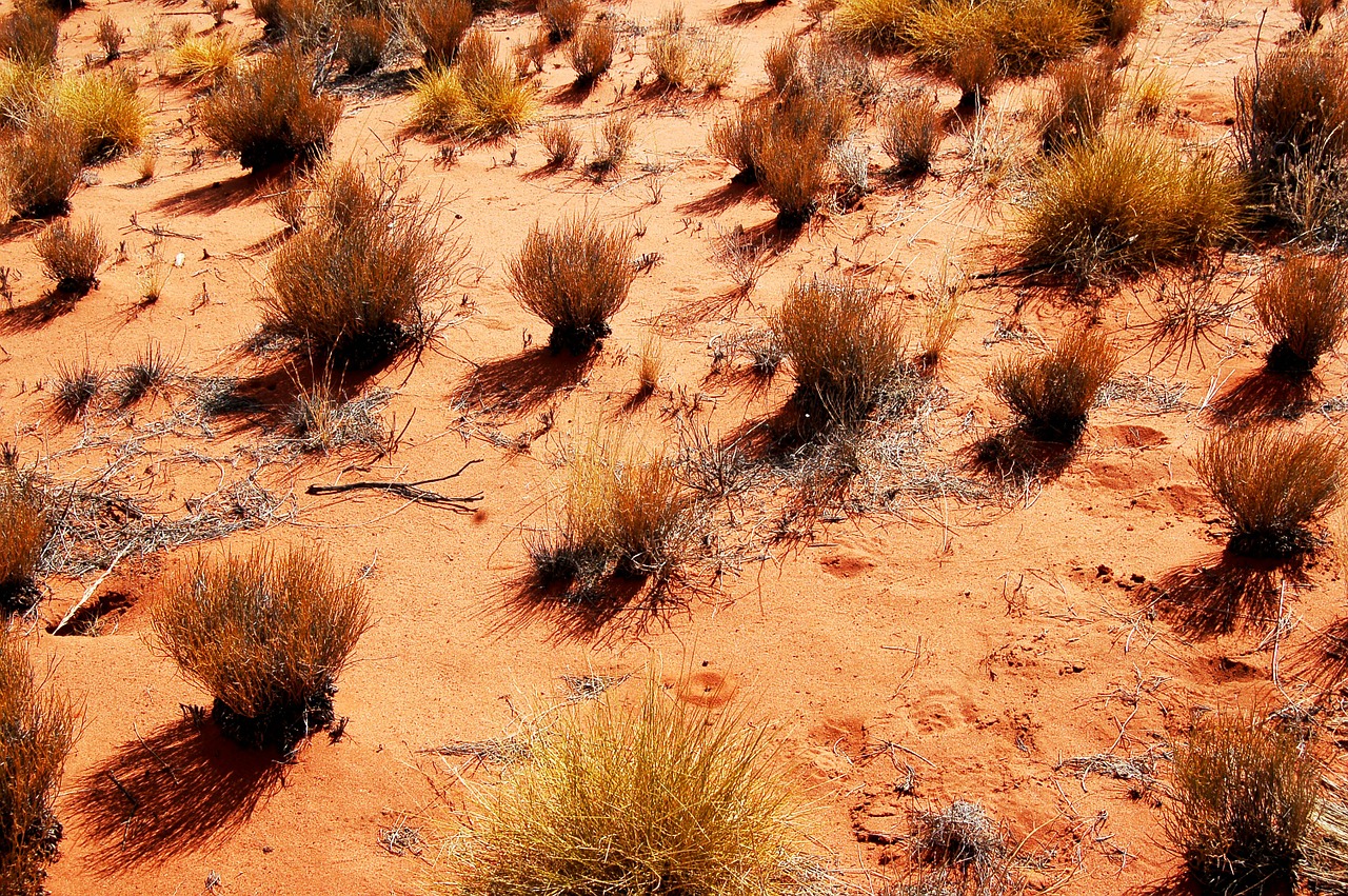 outback australia landscape free photo