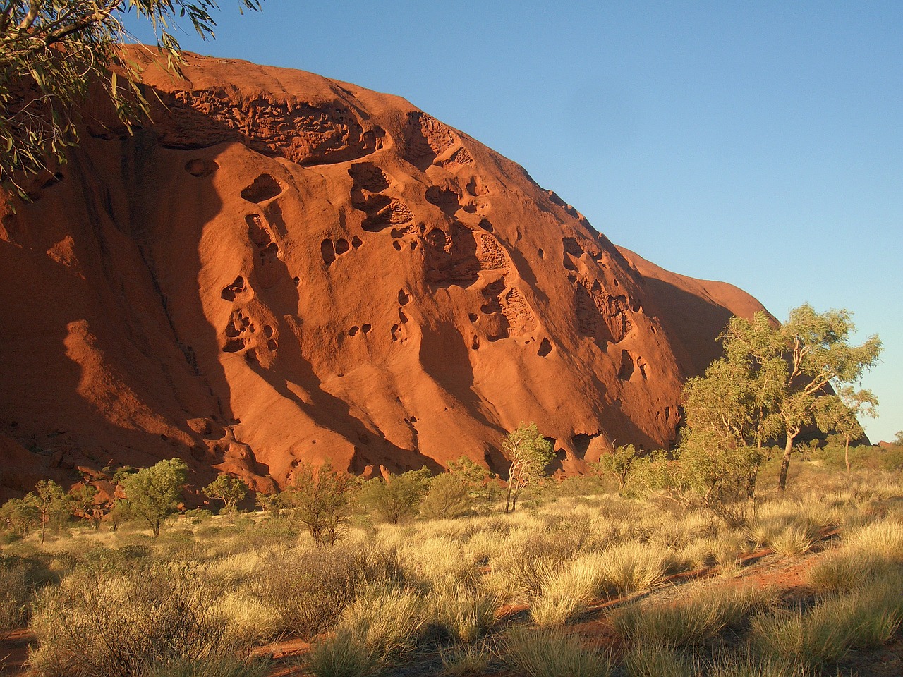 outback australia sun free photo