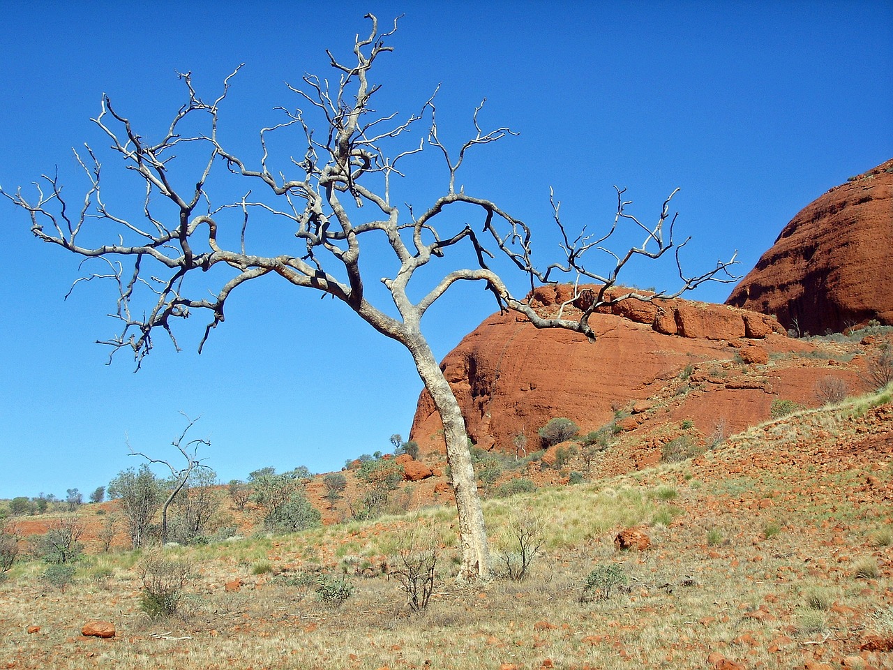 outback australia landscape free photo