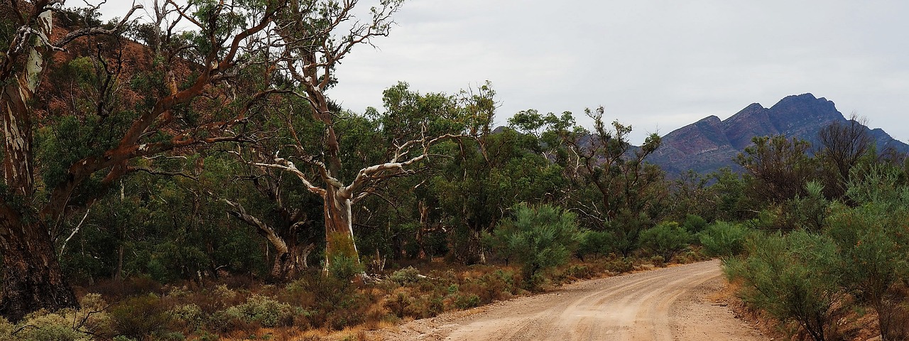 outback australia flinders ranges remote free photo