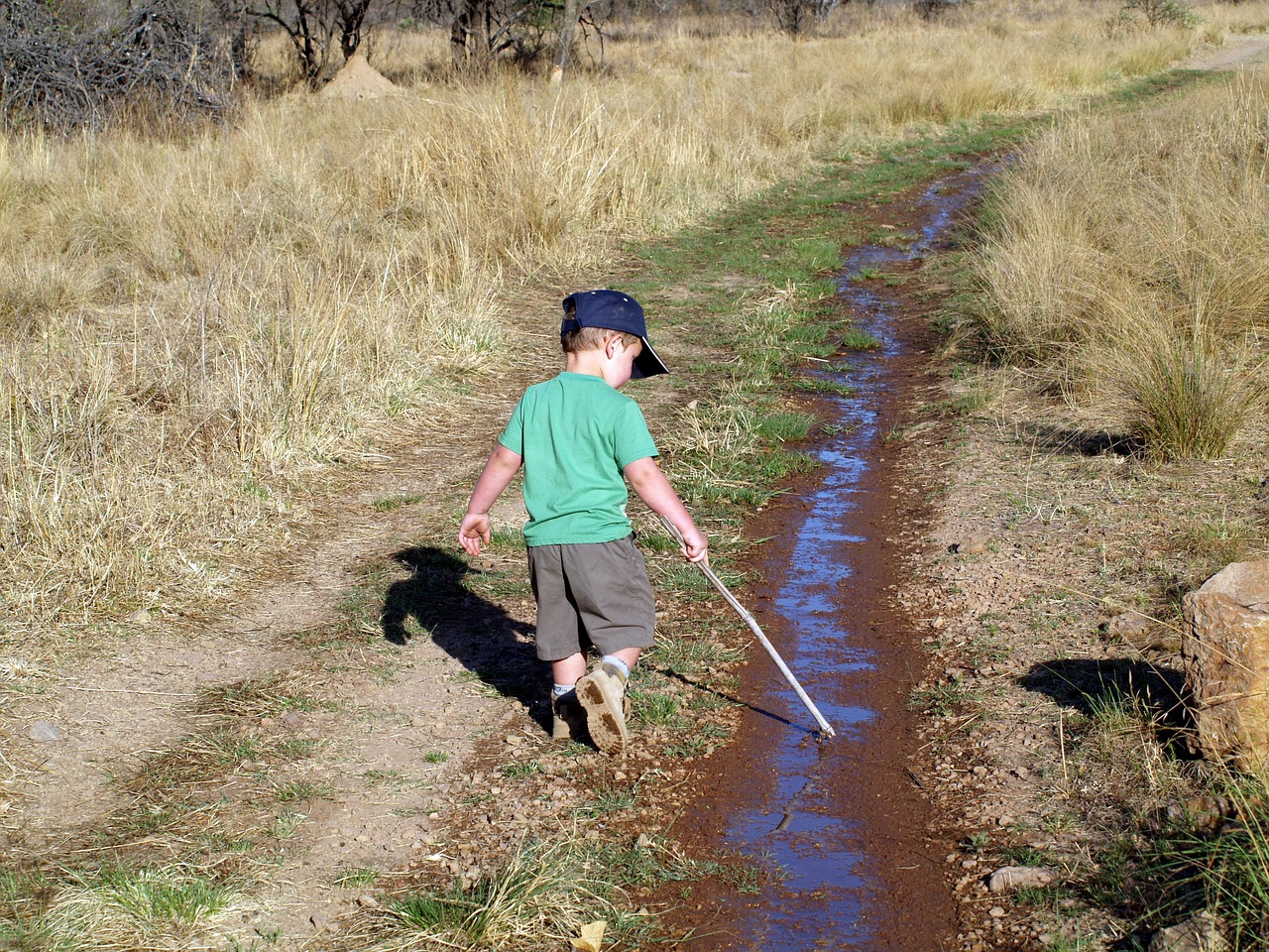 outdoor boy child free photo