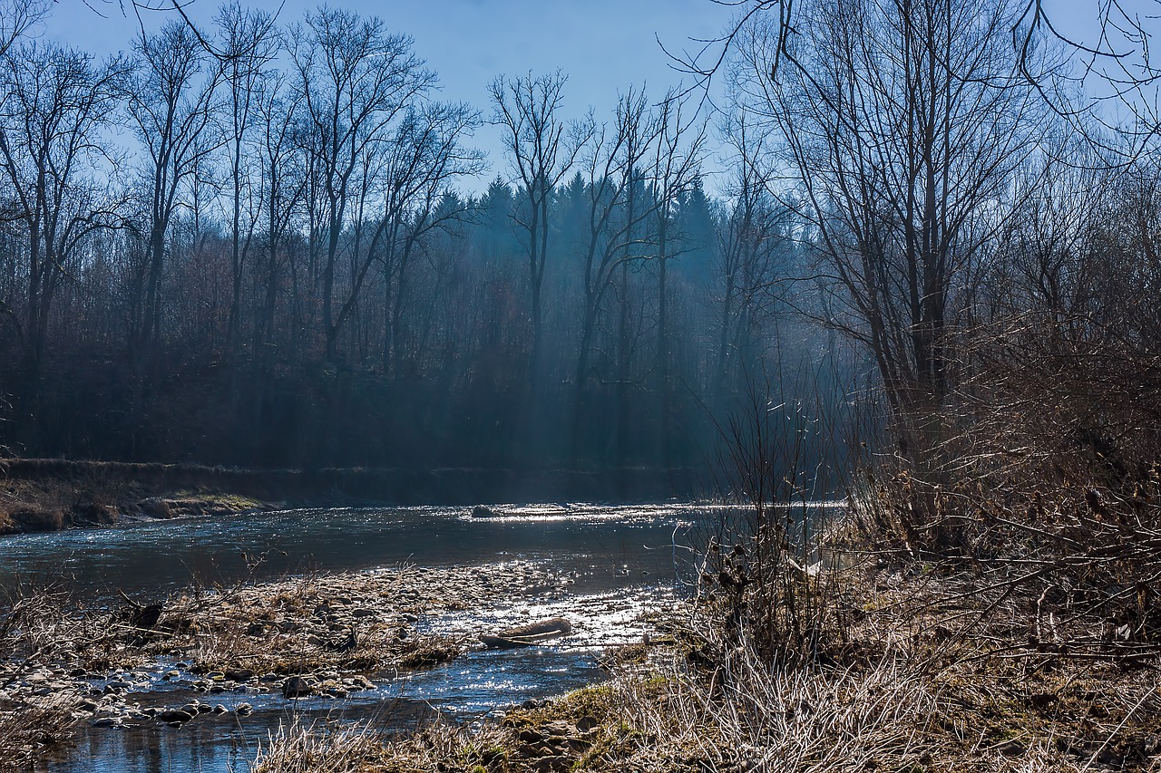 outdoor trees river free photo