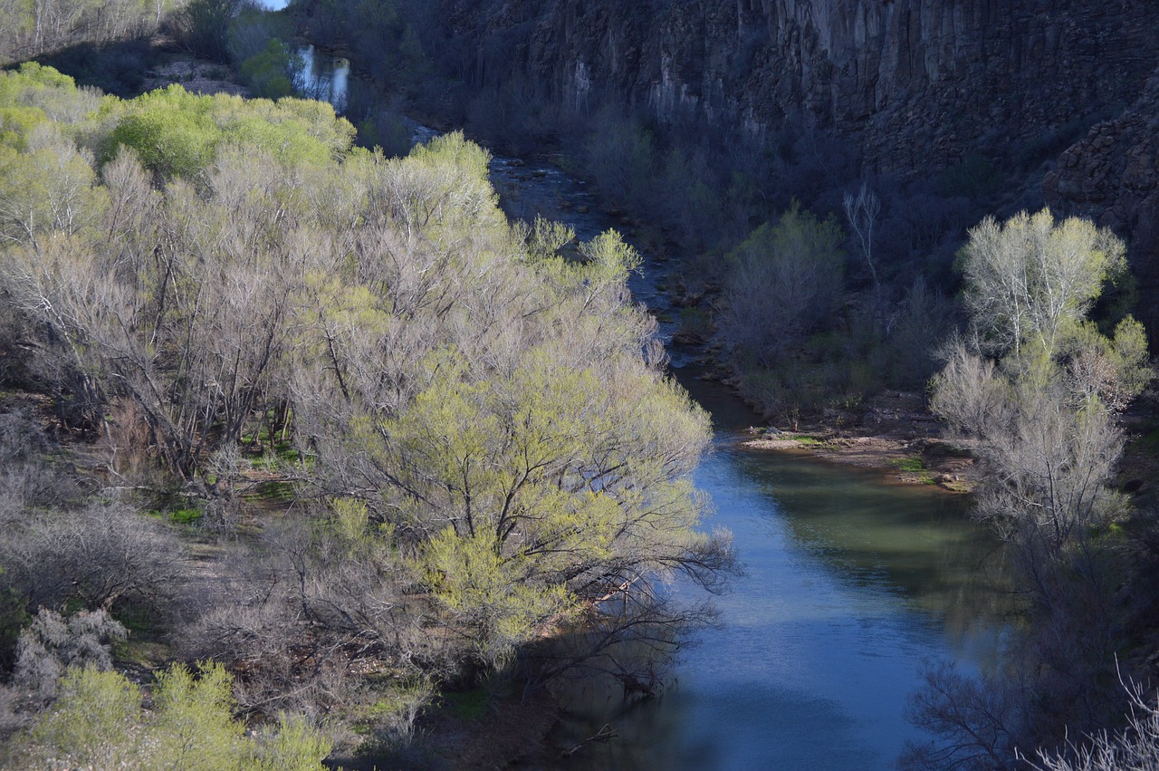 outdoor scenic nature free photo