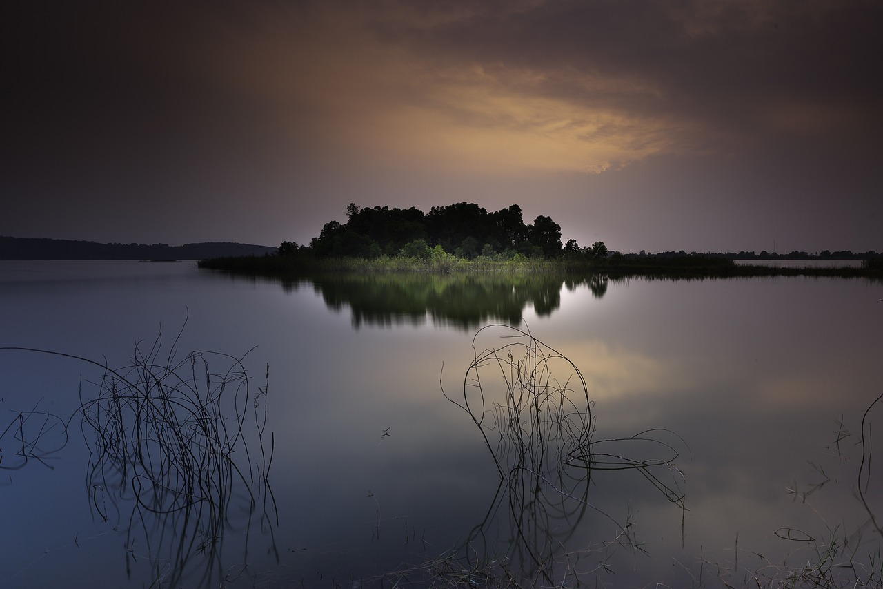 outdoor sunset grass reeds free photo