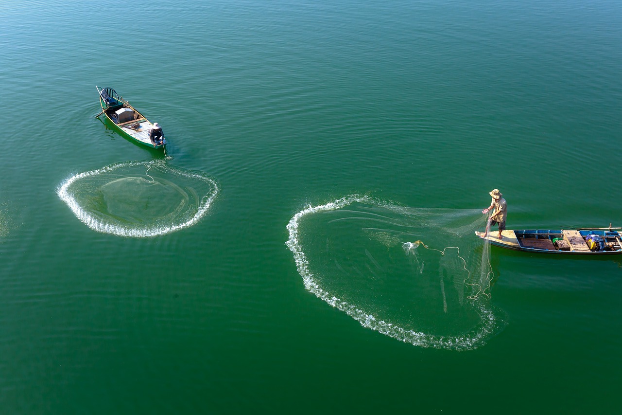 outdoor  fish  fishing free photo