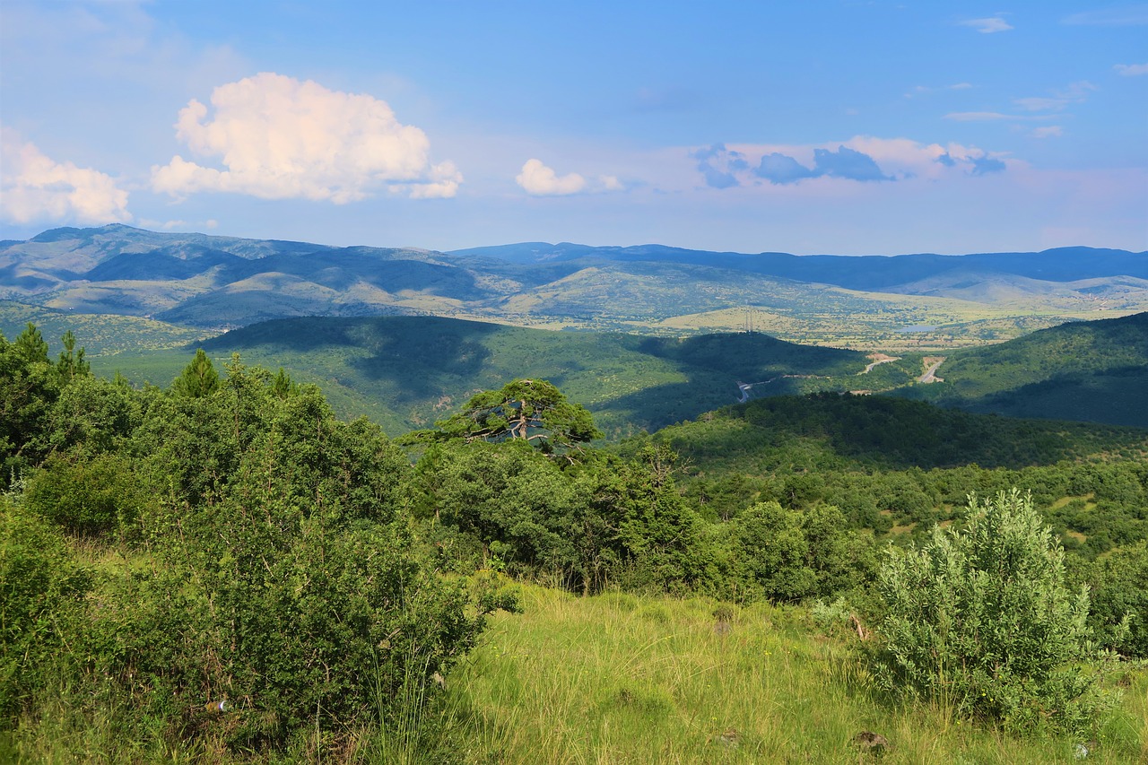 outdoor  landscape  mountains free photo