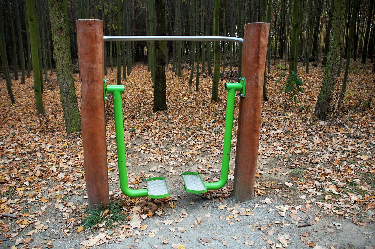 outdoor  fitness  gym free photo