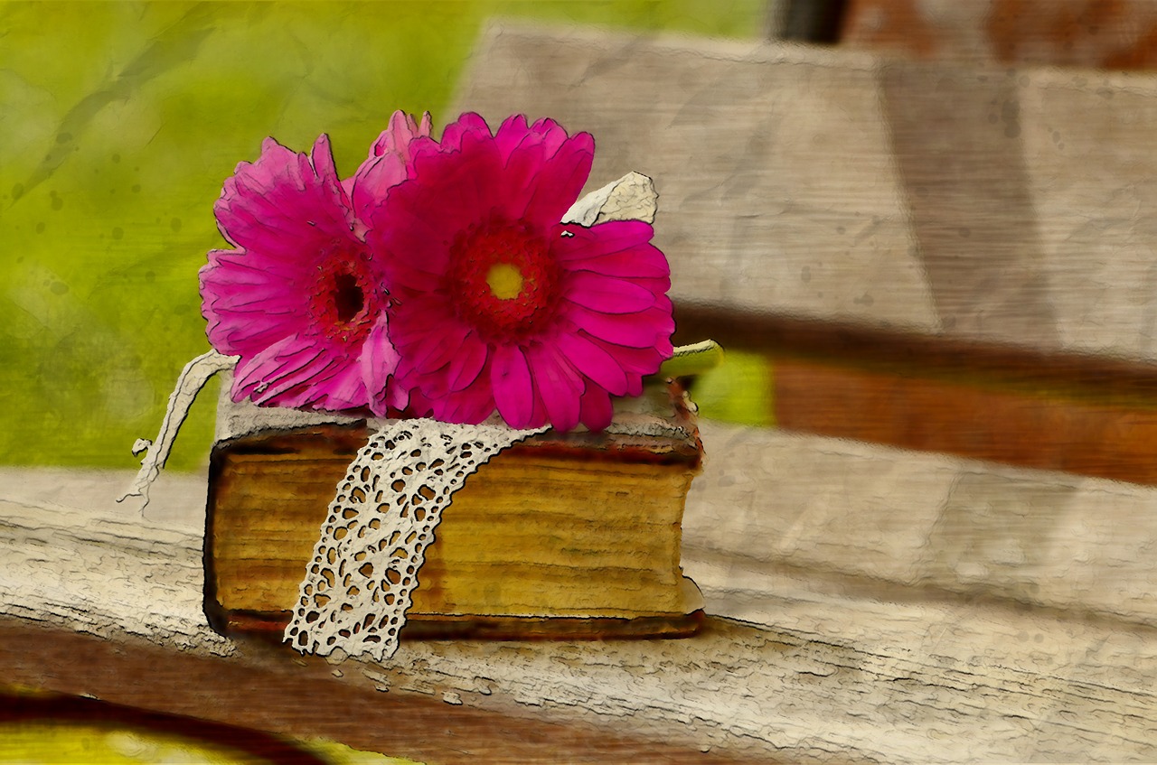 outdoor  bench  book free photo