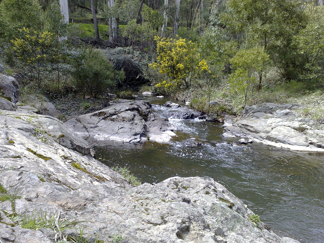 outdoor river australia free photo
