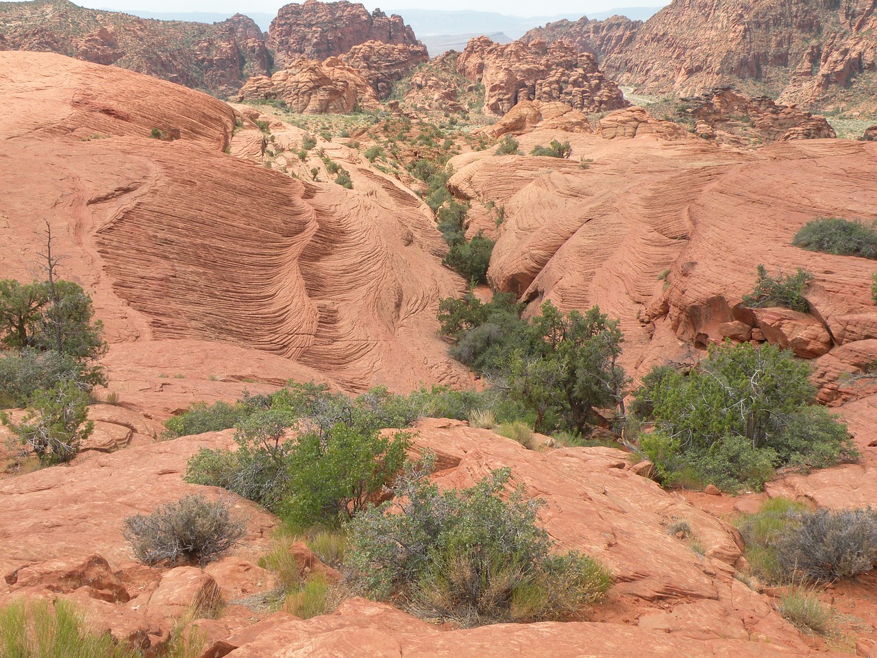 outdoor red canyon nature free photo