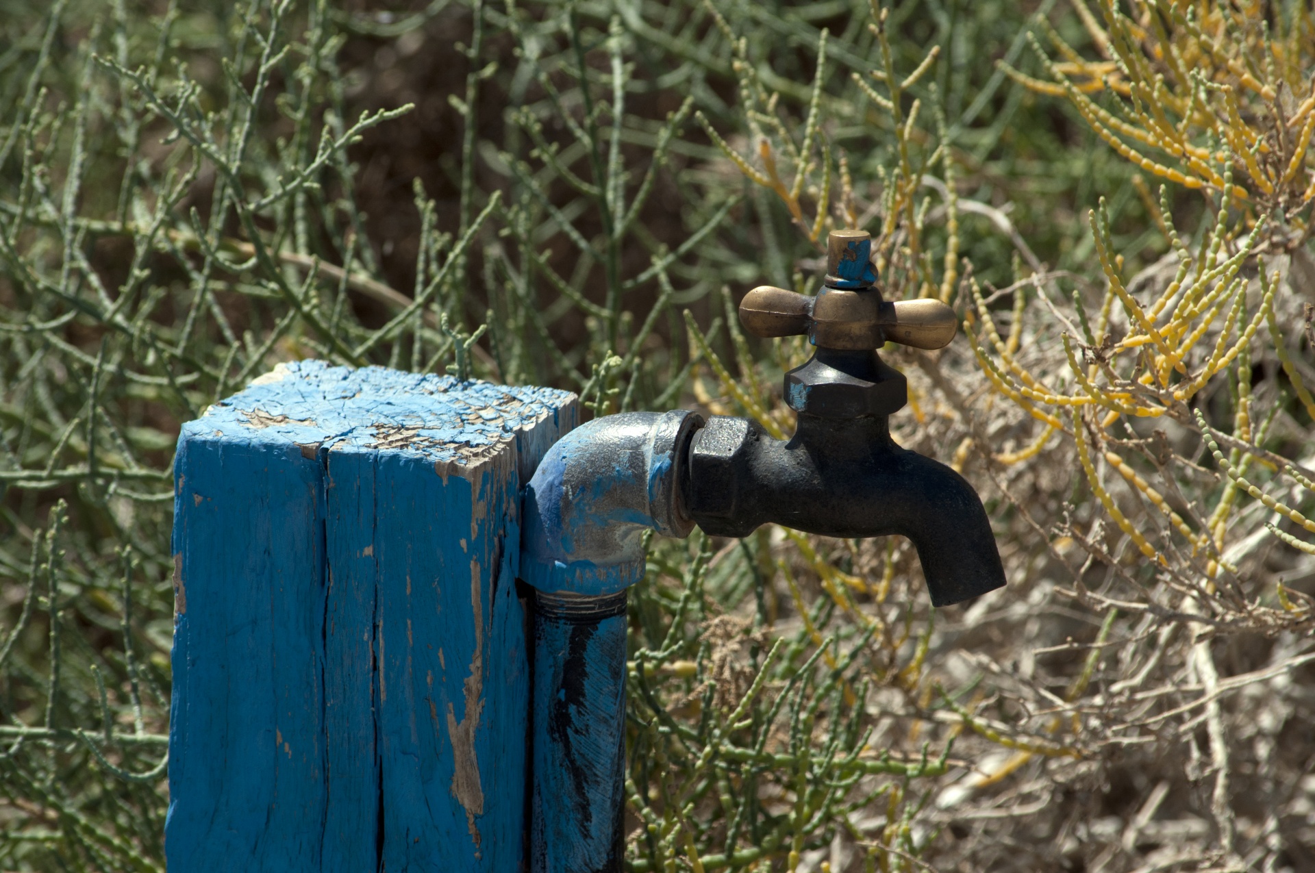 faucet water blue free photo