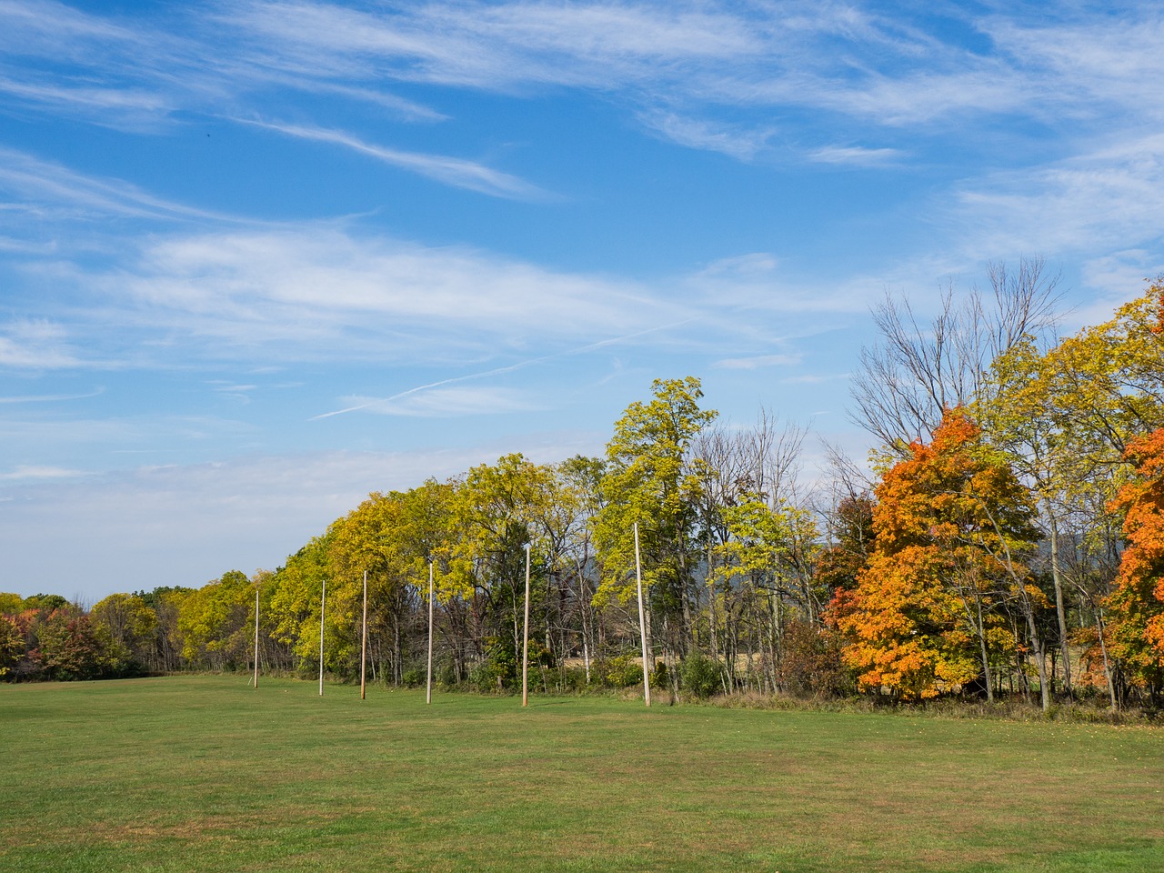 outdoors environment green free photo