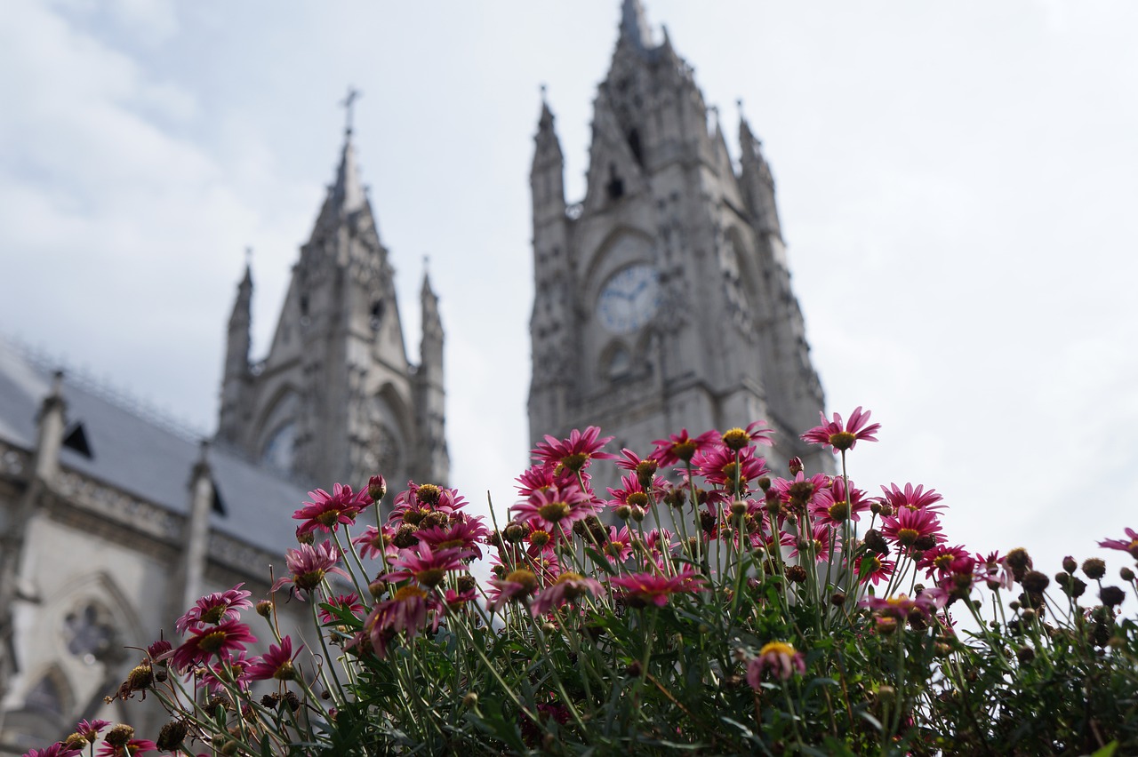 outdoors flower architecture free photo