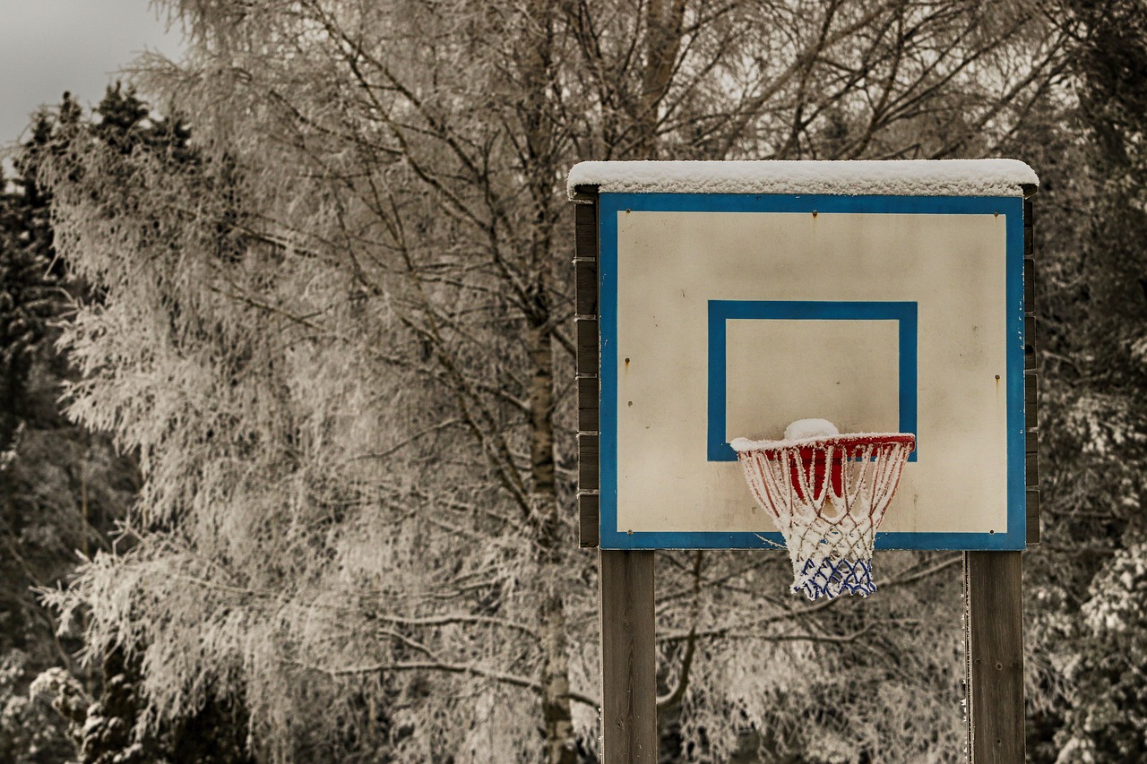 outdoors basketball tree free photo