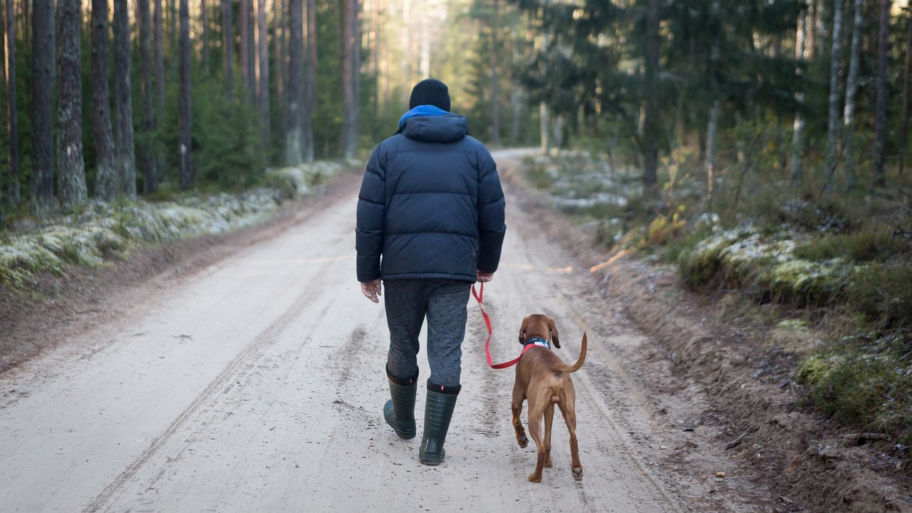 outdoors man with dog tourism free photo
