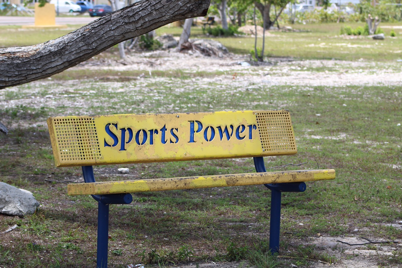 outdoors  signal  bench free photo