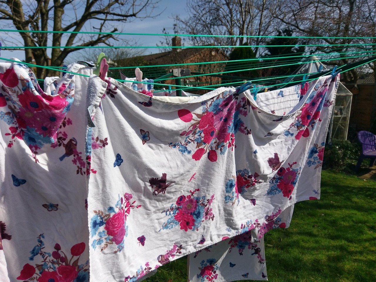outdoors  laundry  clothesline free photo