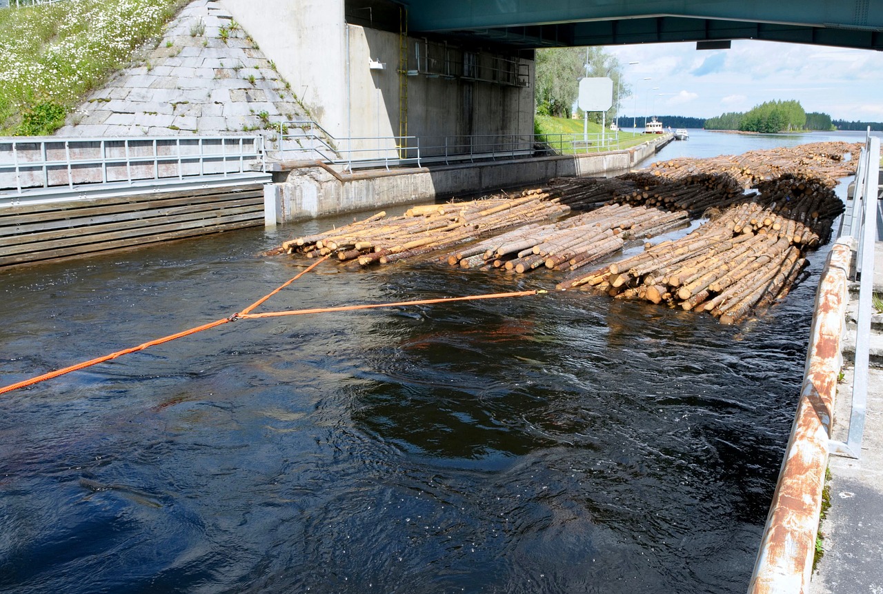 outdoors  bridge  tree free photo