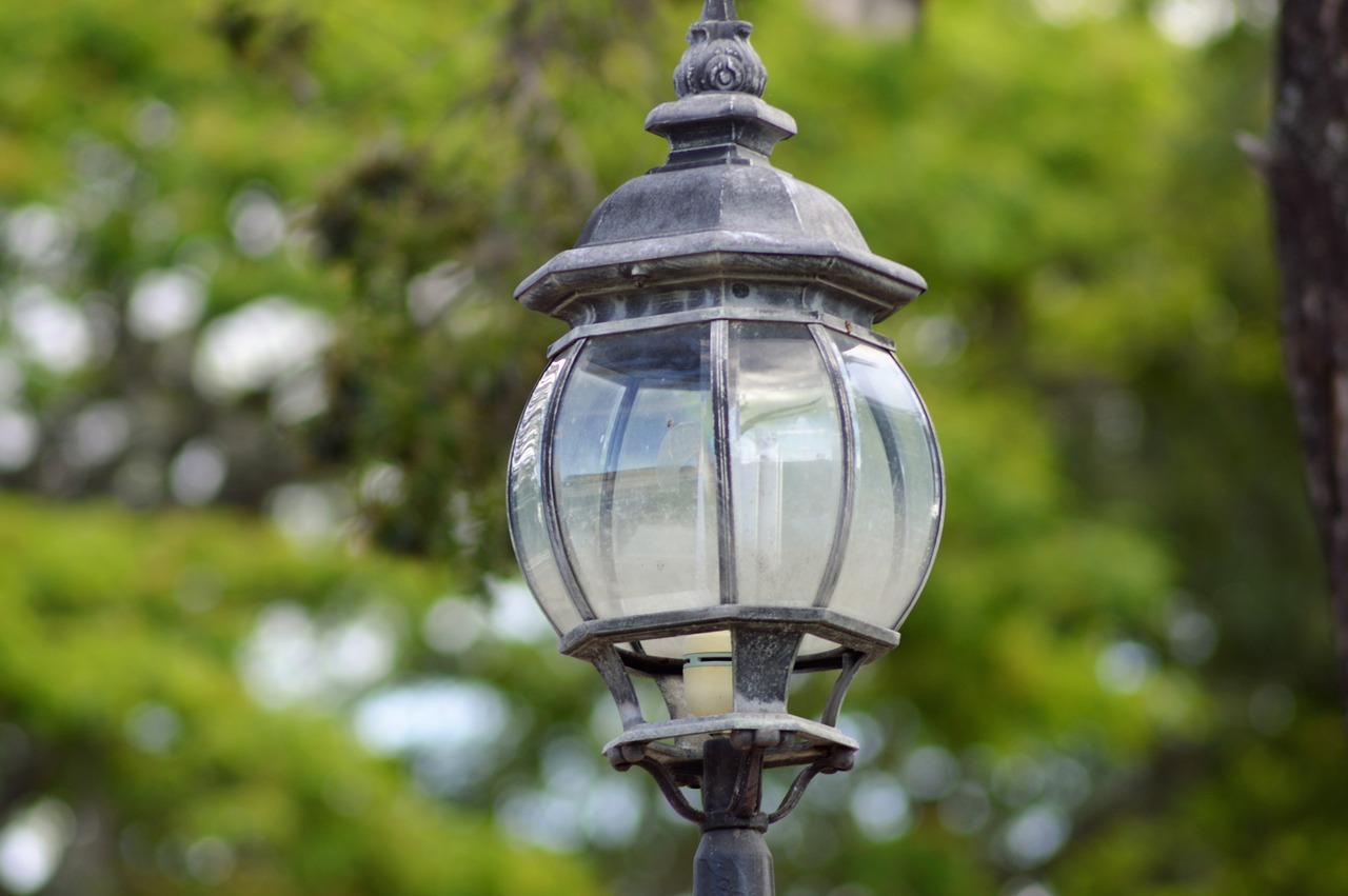 outdoors  incandescent lamp  nature free photo