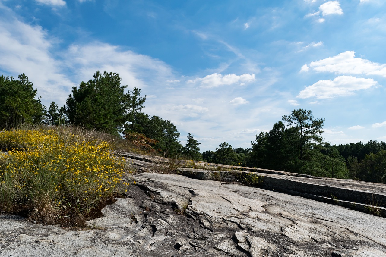 outdoors stone mountain park nature free photo