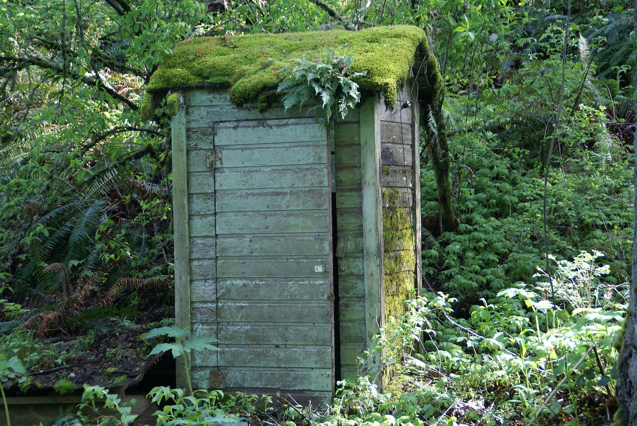 outhouse shed building free photo