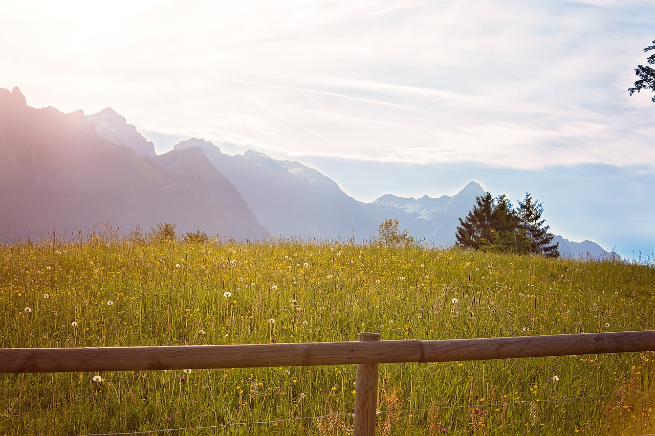 outlook landscape meadow free photo