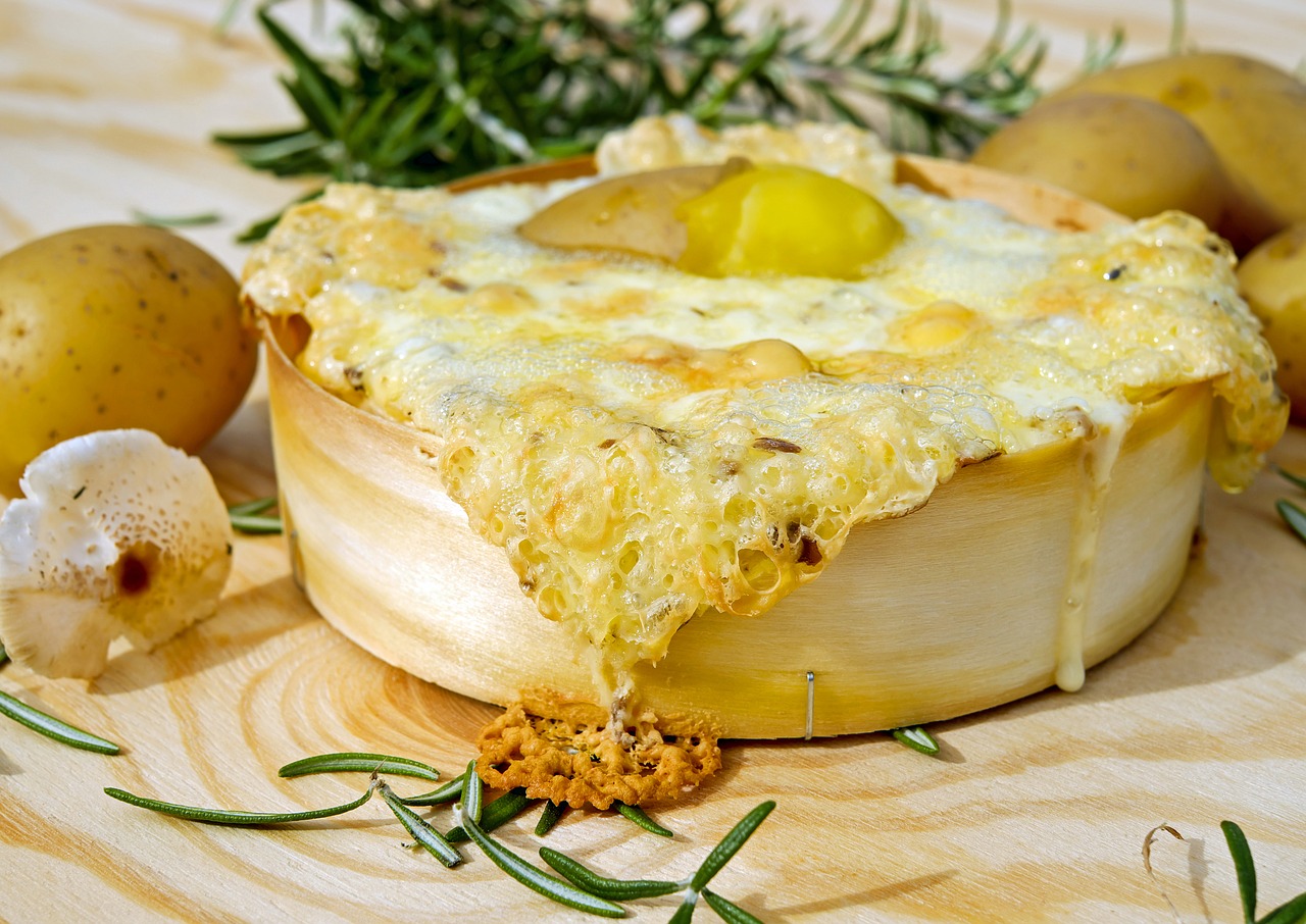 oven-baked cheese cheese baked free photo