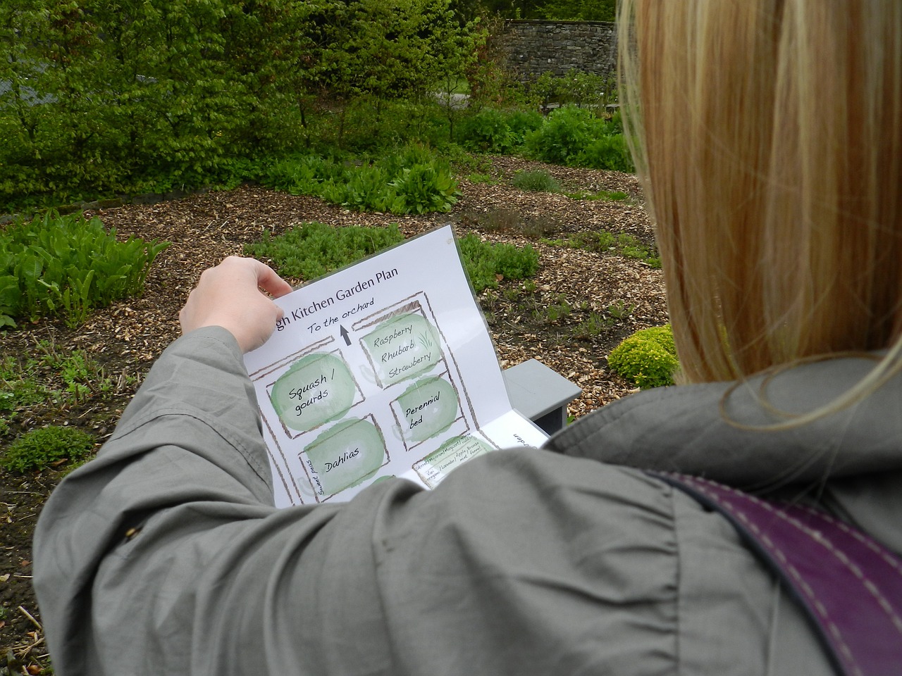 over shoulder reading read free photo