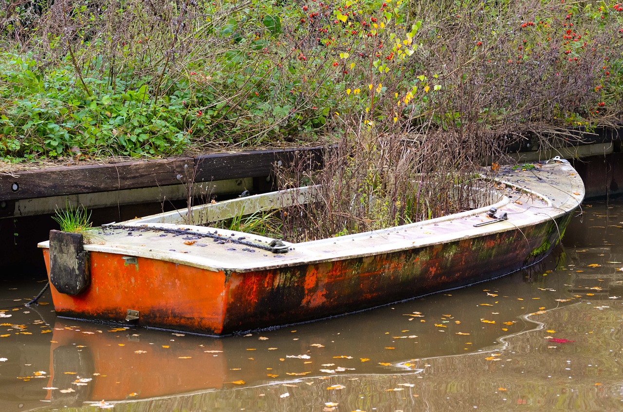 overgrown abandoned boat free photo