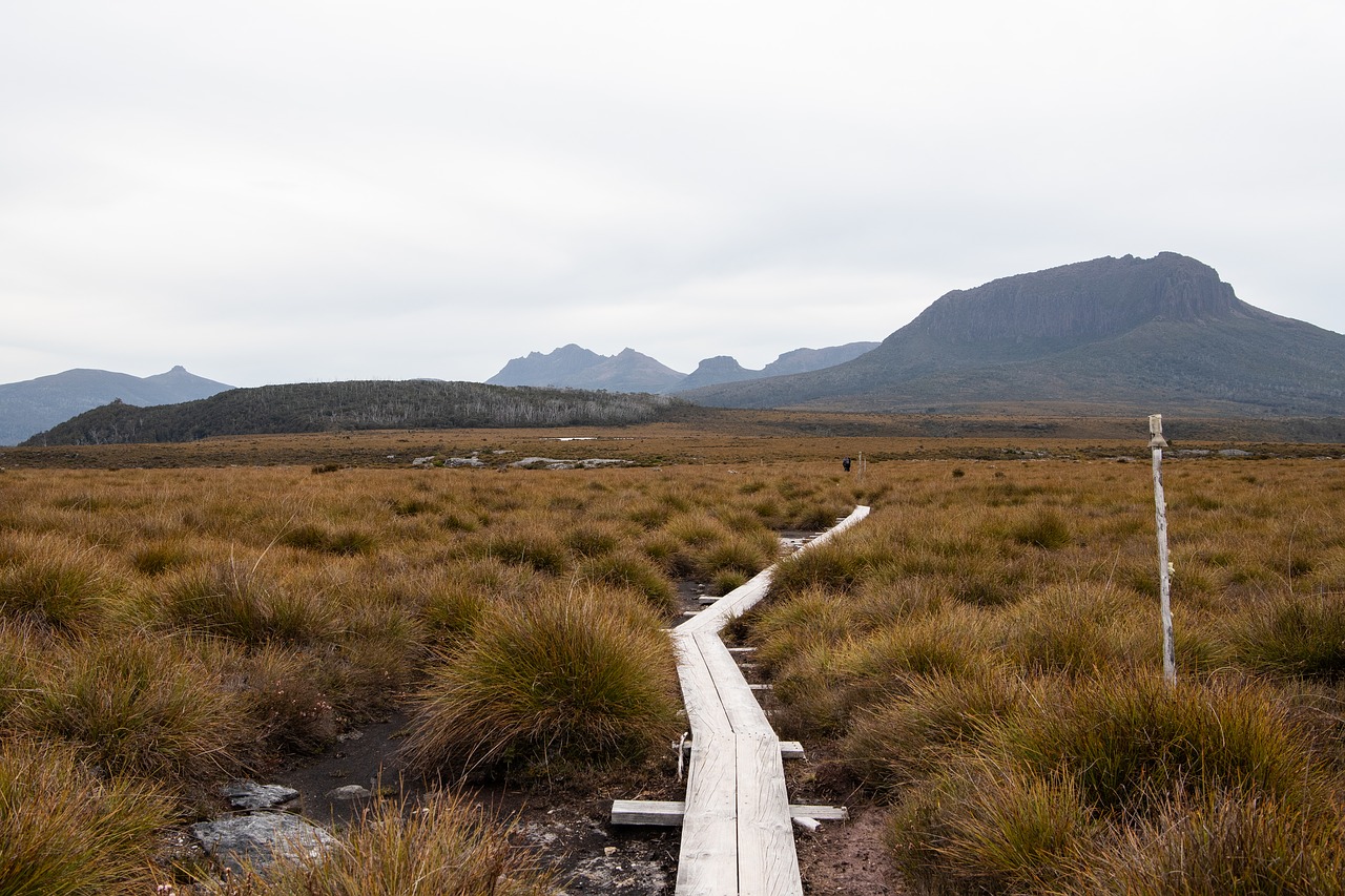 overland track  tasmania  hike free photo