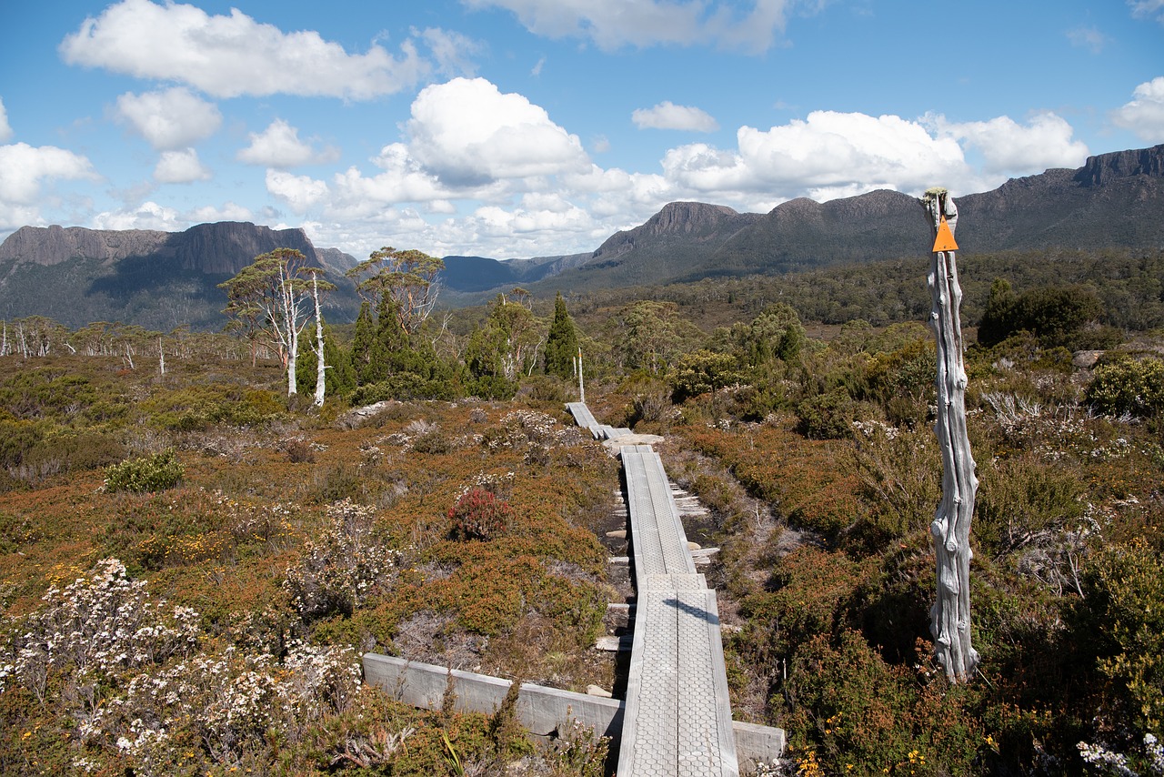 overland track  tasmania  wilderness free photo