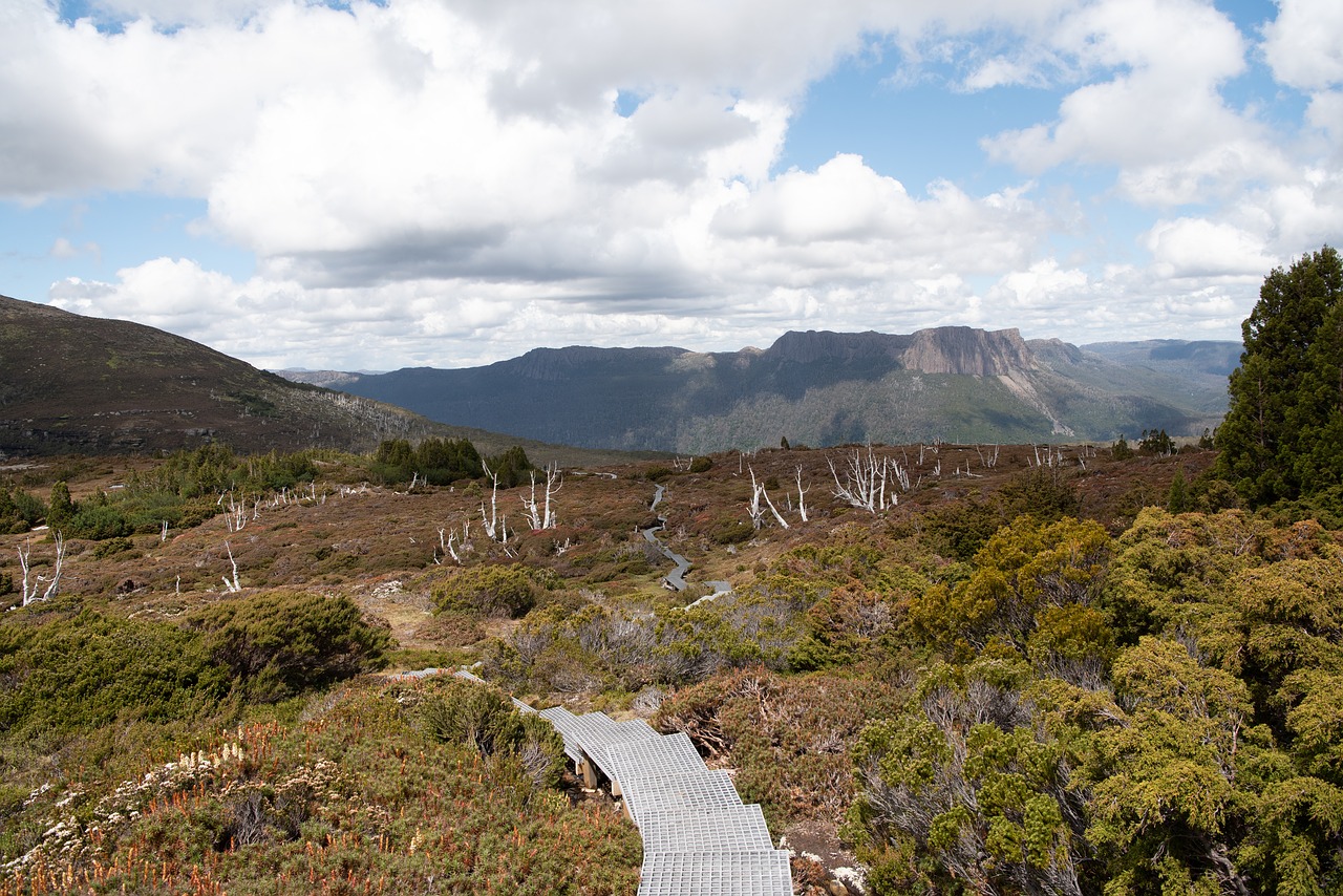 overland track  tasmania  nature free photo