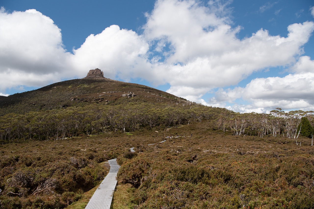 overland track  tasmania  nature free photo