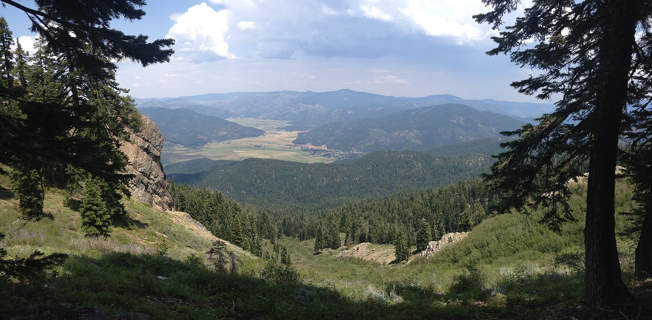 overlook forest landscape free photo