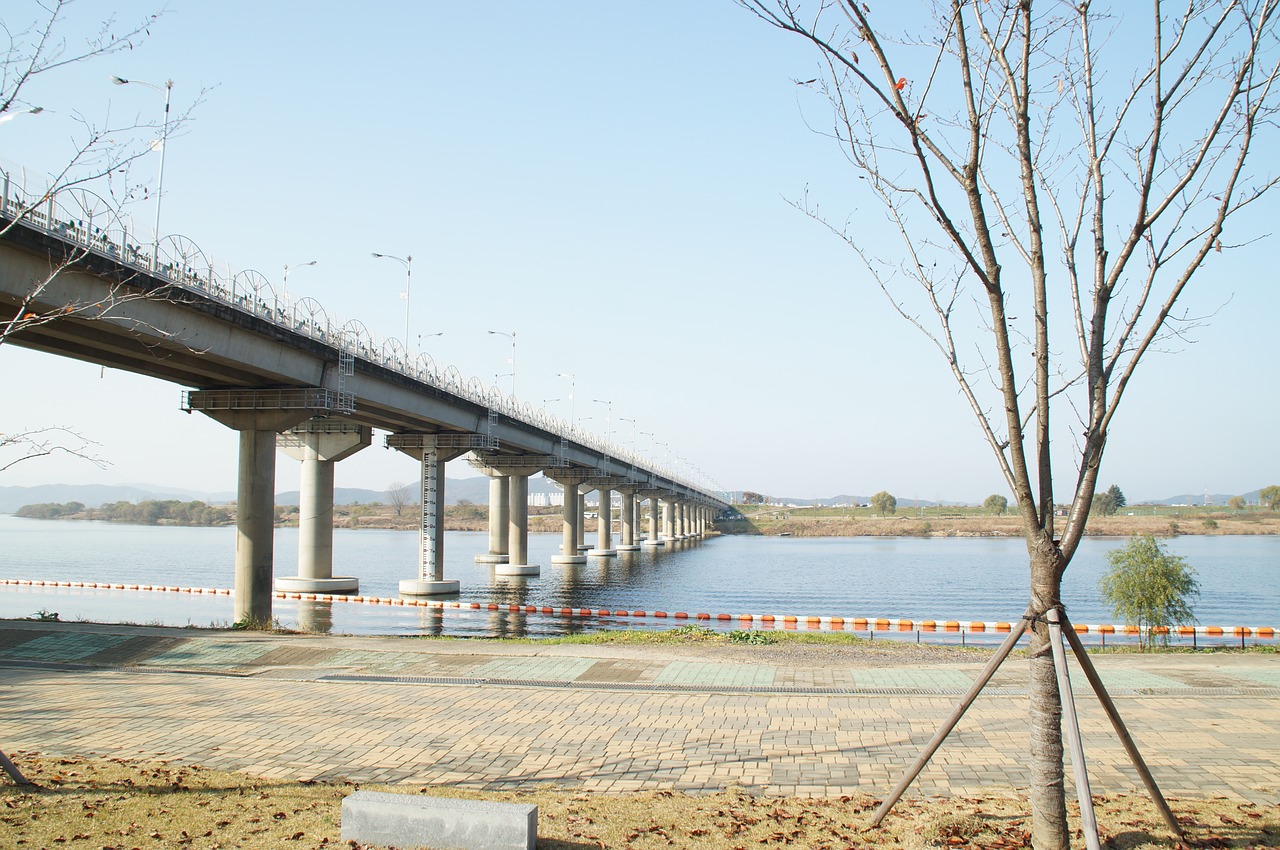 overpass riverside river free photo