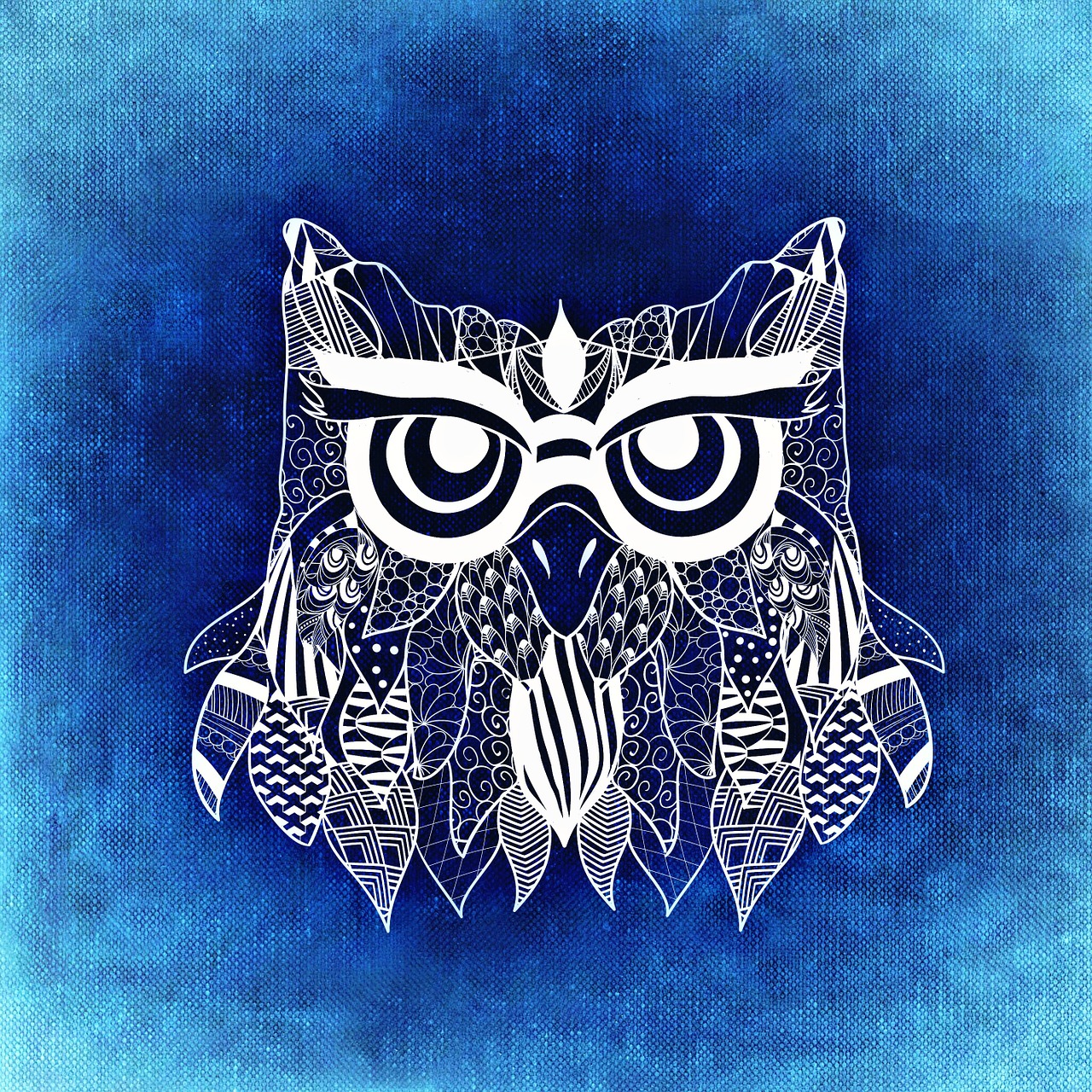 owl bird abstract free photo
