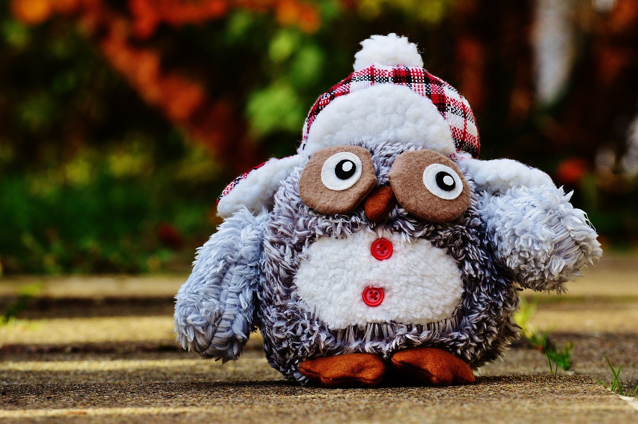 owl autumn winter free photo