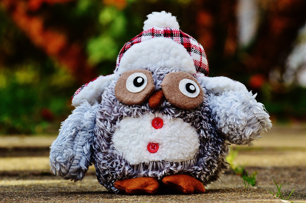 owl autumn winter free photo