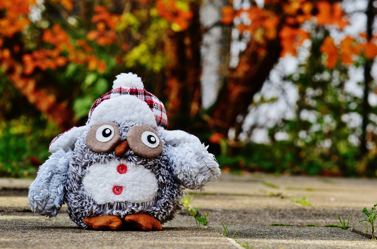 owl autumn winter free photo