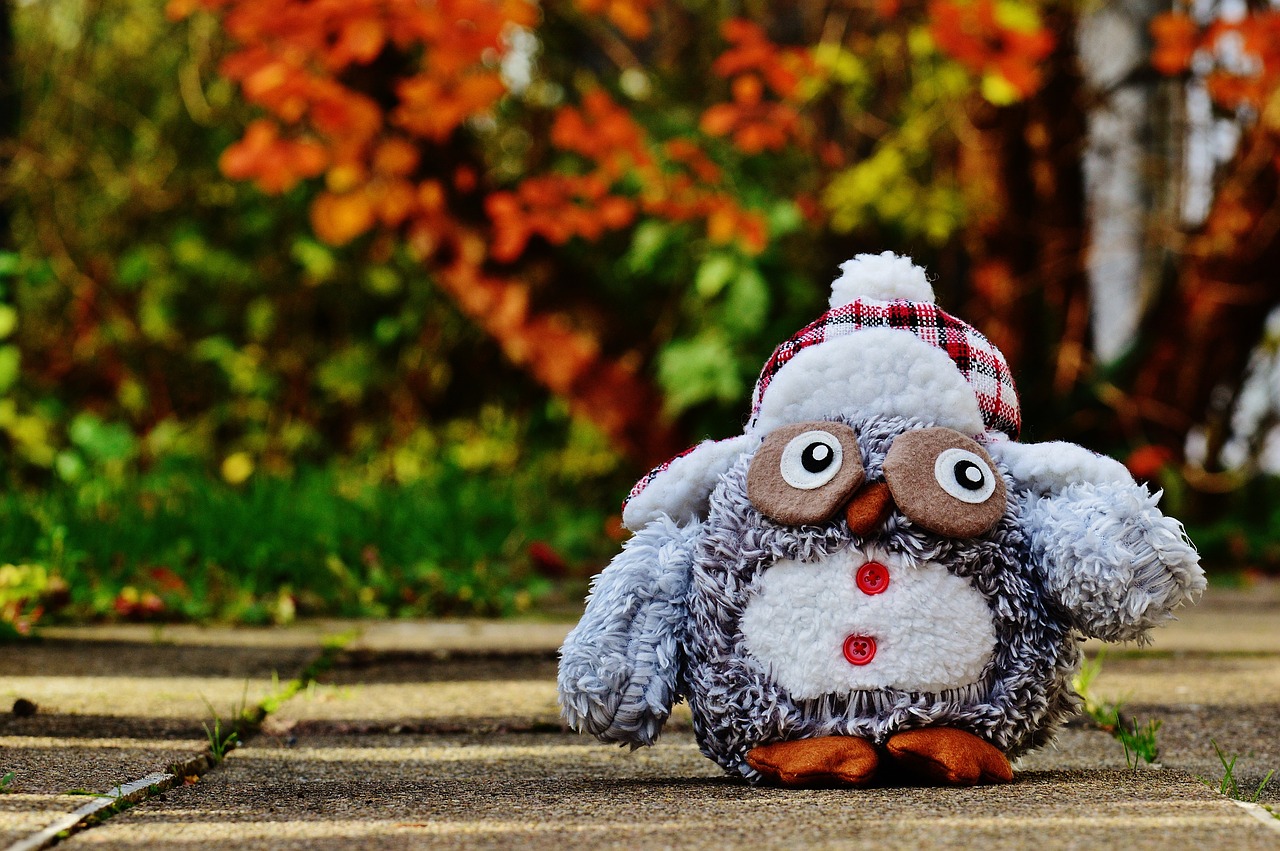 owl autumn winter free photo