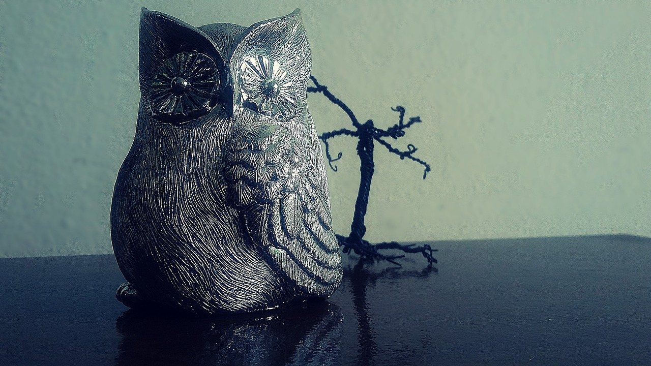 owl wisdom garnish free photo