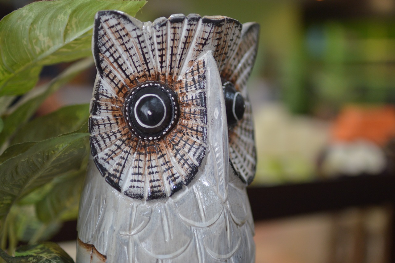 owl souvenirs gift free photo
