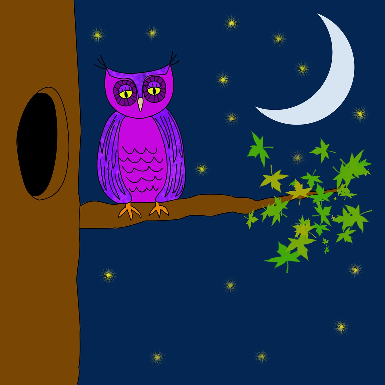 owl purple night free photo