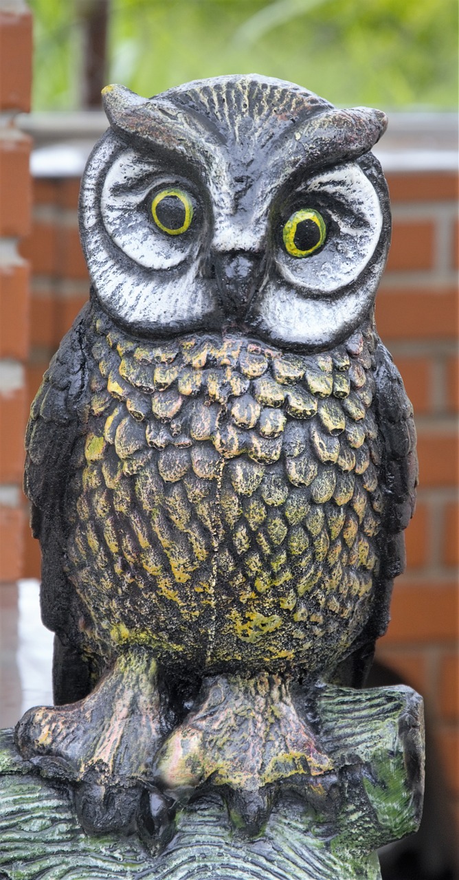 owl garnish wisdom free photo