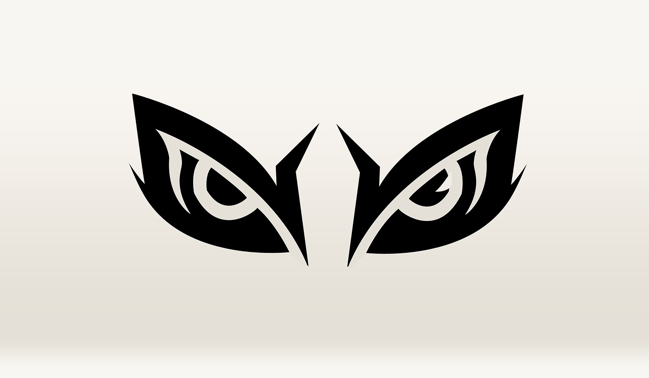 owl eye animal free photo