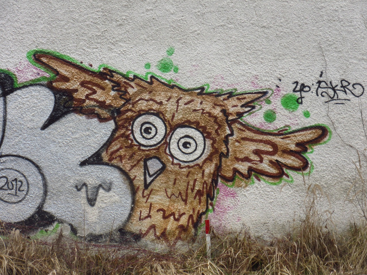 owl bird graffiti free photo