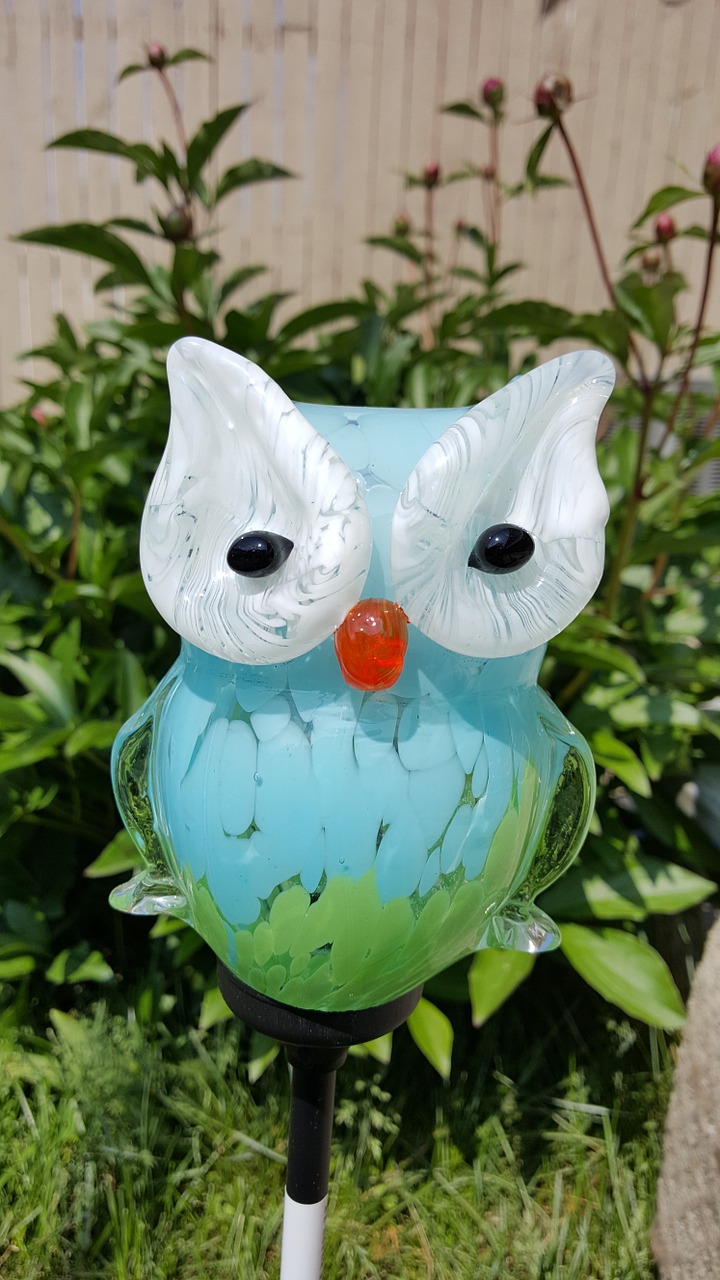 owl sun glass free photo