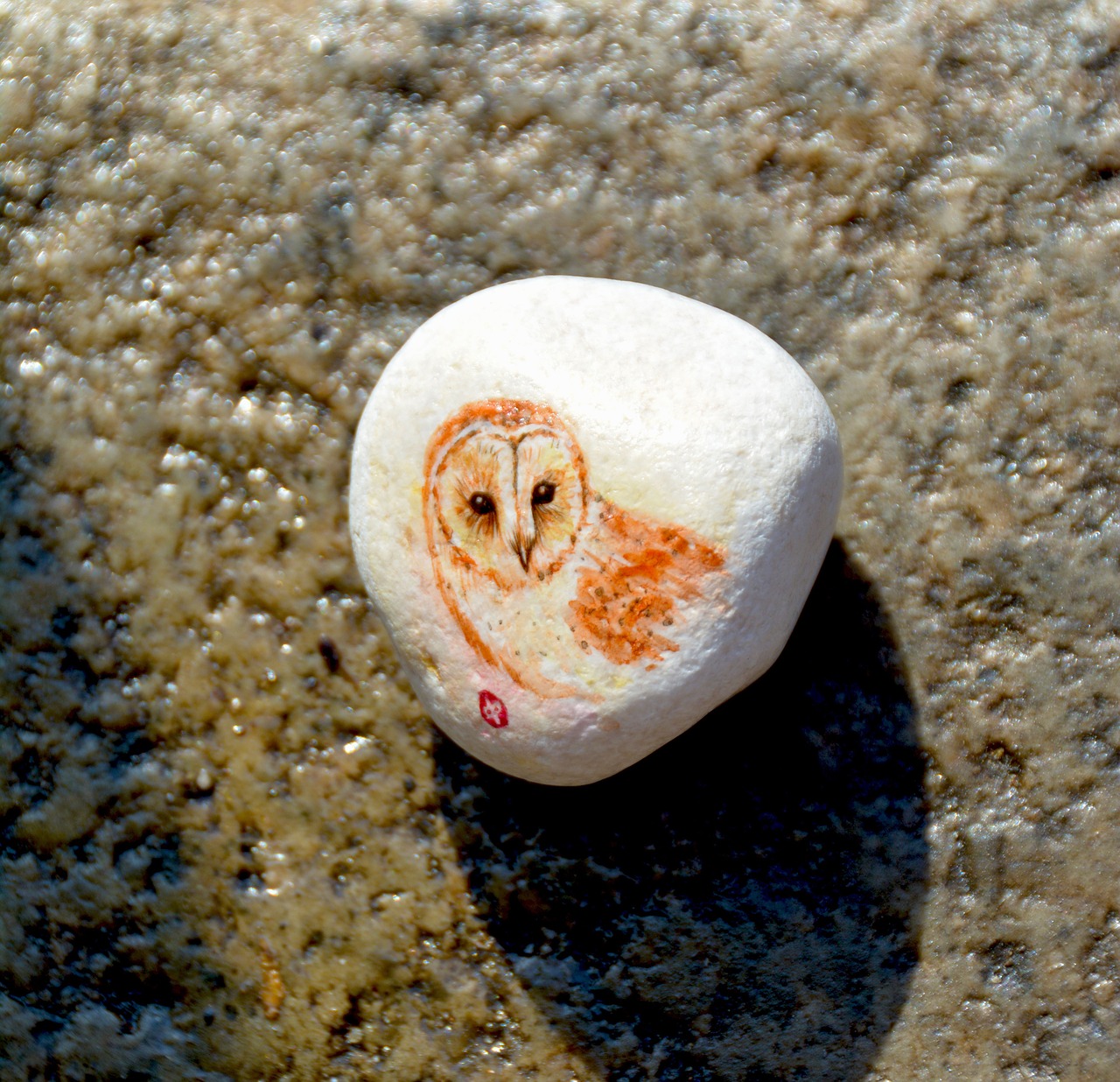 owl bird stone free photo